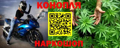 молекула духа Пугачёв